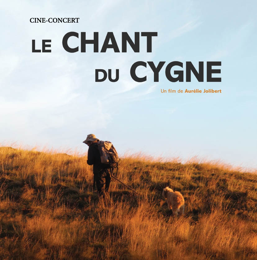 Ciné-concert (Ste Sigolène)